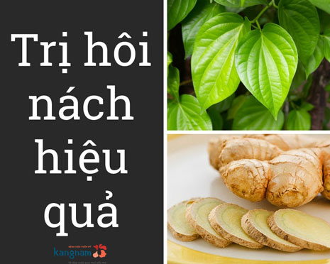 Sử dụng lá trầu không trị hôi nách – Phương pháp chữa bệnh đơn giản, mới lạ, siêu hiệu quả!